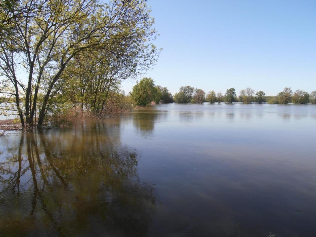 ホテルChateau Sainte Marie Dompierre-sur-Charente エクステリア 写真