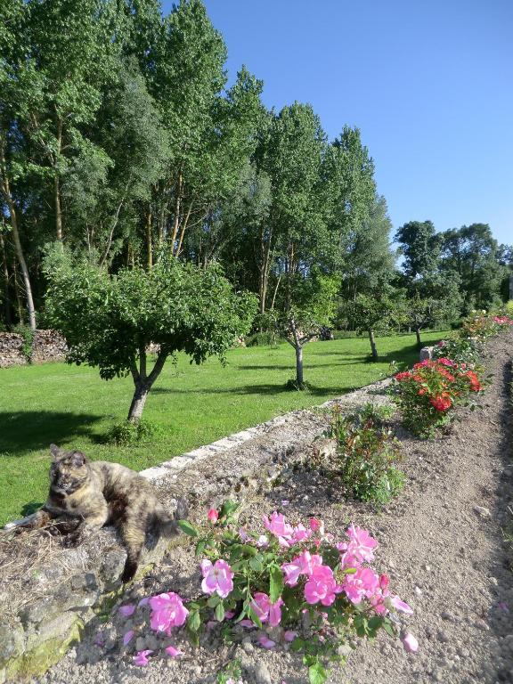 ホテルChateau Sainte Marie Dompierre-sur-Charente エクステリア 写真
